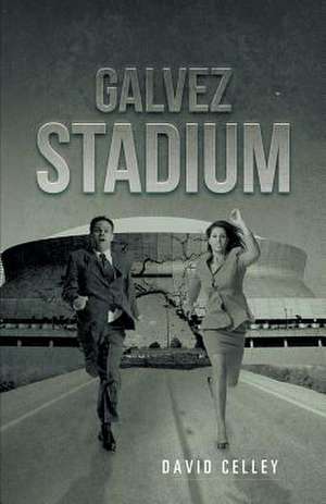 Galvez Stadium de David Celley