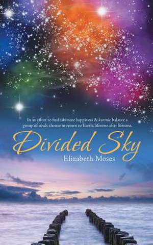 Divided Sky de Elizabeth Moses