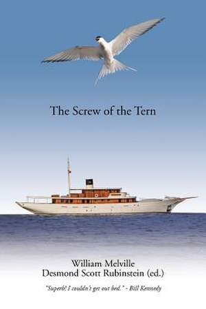 The Screw of the Tern de Desmond Scott Rubinstein