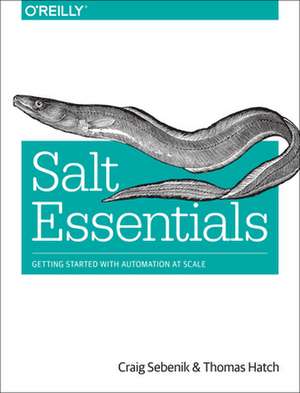 Salt Essentials de Craig Sebenik