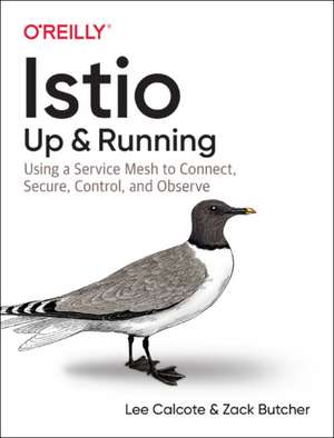 Istio: Up and Running de Lee Calcote