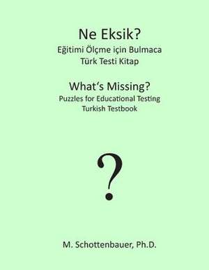 What's Missing? Puzzles for Educational Testing de M. Schottenbauer