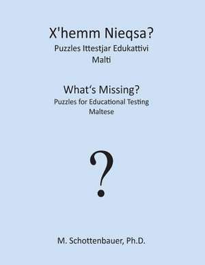 What's Missing? Puzzles for Educational Testing de M. Schottenbauer