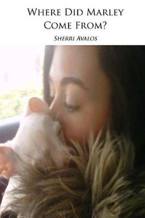 Where Did Marley Come from de Sherri Avalos