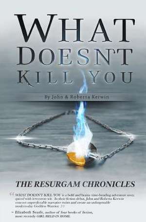 What Doesn't Kill You de Roberta Kerwin