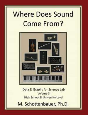 Where Does Sound Come From? Data & Graphs for Science Lab de M. Schottenbauer