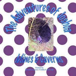 The Adventures of Joshua Mines & Caverns de Mrs E. Lewis