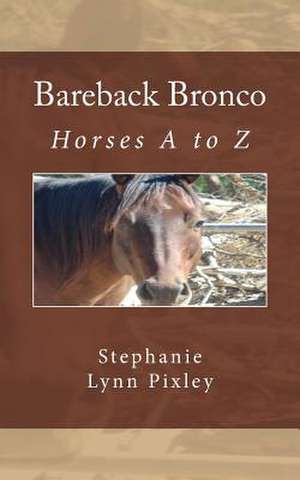 Bareback Bronco de Stephanie Lynn Pixley