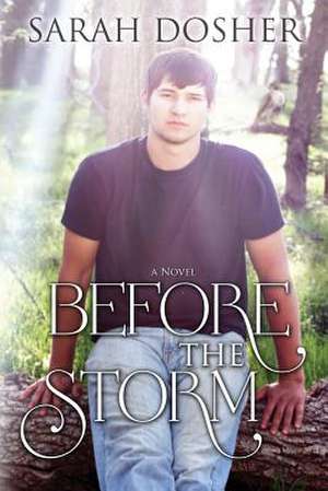 Before the Storm de Sarah Dosher