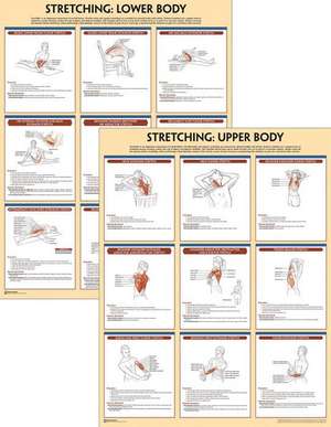 Stretching Anatomy Poster Series de Human Kinetics