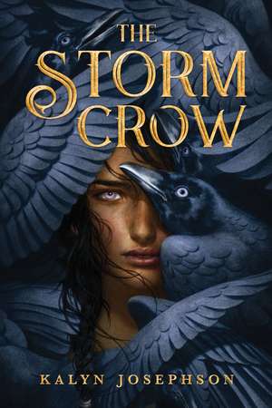 The Storm Crow de Kalyn Josephson