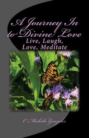 A Journey in to Divine Love de C. Michelle Gonzalez