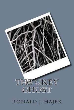 The Grey Ghost de Ronald J. Hajek