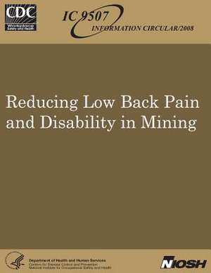 Reducing Low Back Pain and Disability in Mining de Dr Sean Gallagher