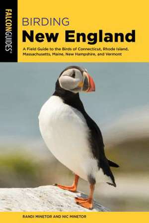 BIRDING NEW ENGLAND de Randi Minetor