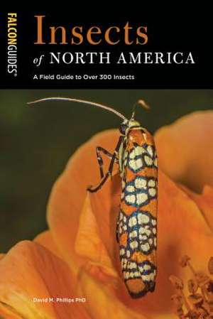 INSECTS OF NORTH AMERICA de David M.PhD Phillips