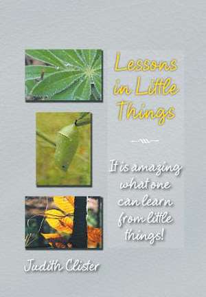 Lessons in Little Things de Judith Clister