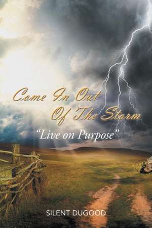 Come in Out of the Storm de Silent Dugood