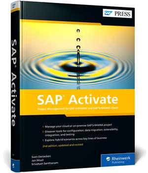 Denecken, S: SAP Activate