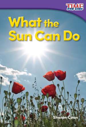 What the Sun Can Do (Foundations) de Sharon Coan