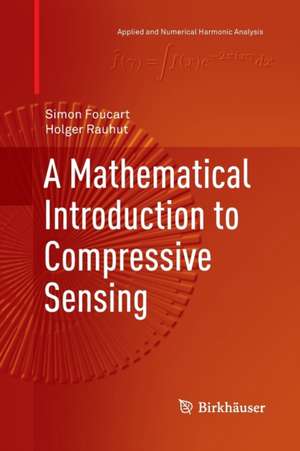 A Mathematical Introduction to Compressive Sensing de Simon Foucart