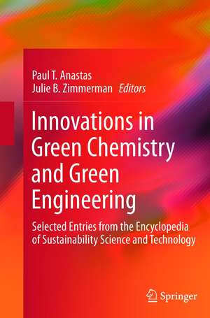 Innovations in Green Chemistry and Green Engineering: Selected Entries from the Encyclopedia of Sustainability Science and Technology de Paul T. Anastas