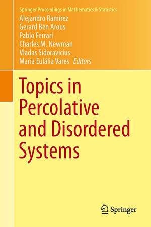 Topics in Percolative and Disordered Systems de Alejandro F. Ramírez