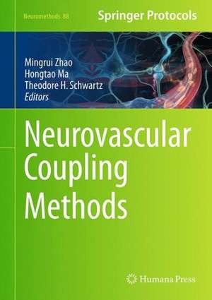 Neurovascular Coupling Methods de Mingrui Zhao