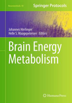 Brain Energy Metabolism de Johannes Hirrlinger