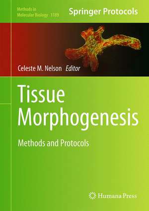 Tissue Morphogenesis: Methods and Protocols de Celeste M. Nelson