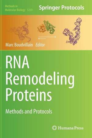 RNA Remodeling Proteins: Methods and Protocols de Marc Boudvillain