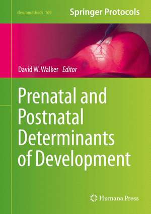 Prenatal and Postnatal Determinants of Development de David W. Walker