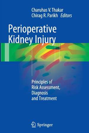 Perioperative Kidney Injury: Principles of Risk Assessment, Diagnosis and Treatment de Charuhas V. Thakar