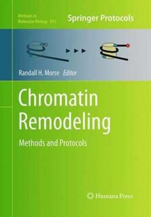 Chromatin Remodeling: Methods and Protocols de Randall H. Morse