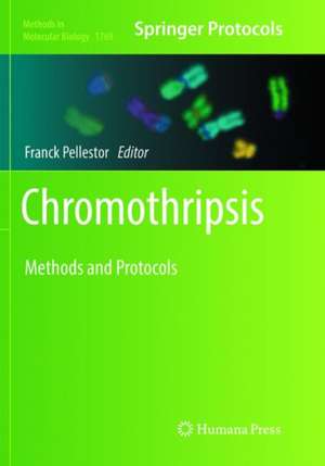 Chromothripsis de Franck Pellestor