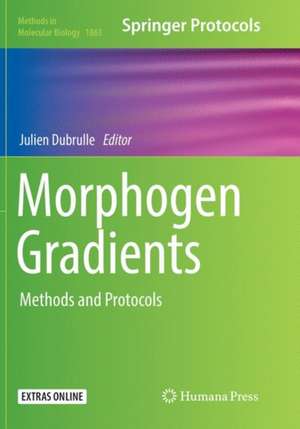 Morphogen Gradients de Julien Dubrulle