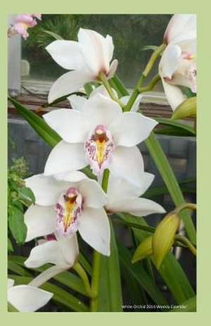 White Orchid 2014 Weekly Calendar de K. Rose