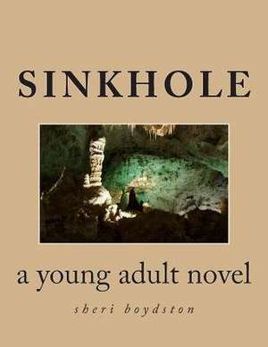 Sinkhole de Sheri Boydston
