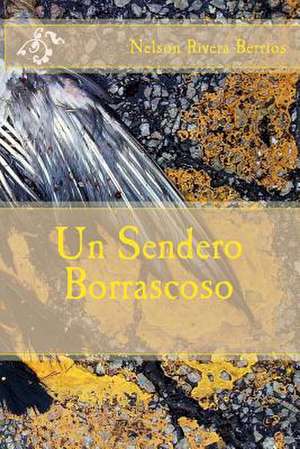 Un Sendero Borrascoso de Nelson Rivera Berrios