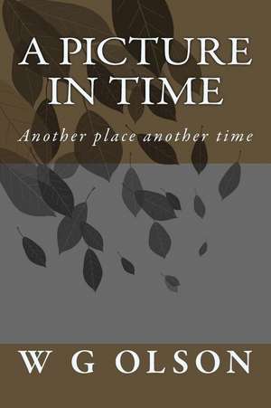 A Picture in Time de W. G. Olson