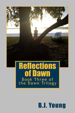 Reflections of Dawn de B. J. Young