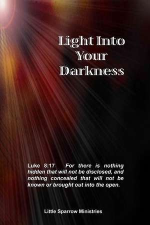 Light Into Your Darkness de Judy H. Farris-Smith