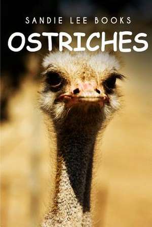 Ostriches - Sandie Lee Books de Sandie Lee Books