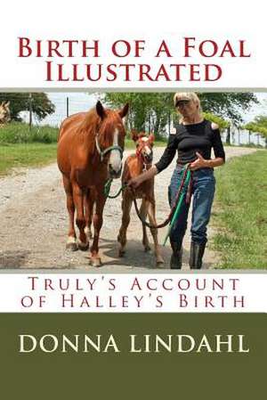 Birth of a Foal Illustrated de Donna J. Lindahl