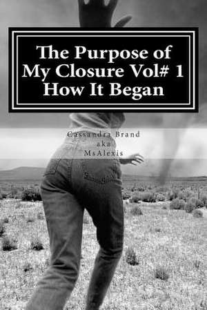 The Purpose of My Closure Vol# 1 How It Began de Cassandra Brand Aka Msalexis