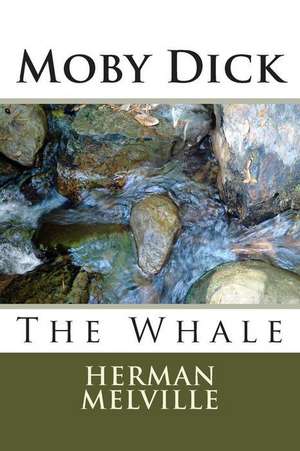 Moby Dick de MR Herman Melville