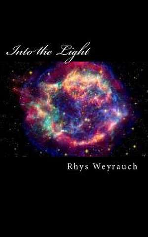 Into the Light de Rhys C. Weyrauch