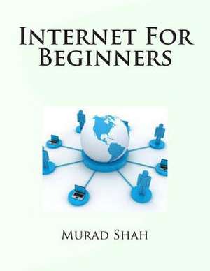 Internet for Beginners de Murad Hussain Shah