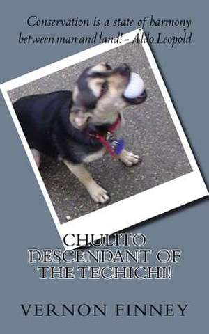 Cholito Descendant of the Techichi! de MR Vernon Lee/L Finney