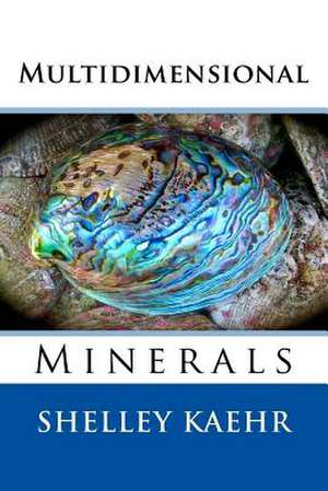 Multidimensional Minerals de Shelley Kaehr